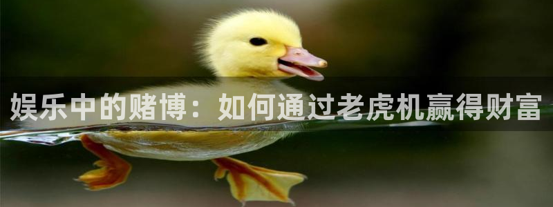 沐鸣娱乐2